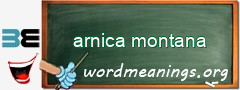 WordMeaning blackboard for arnica montana